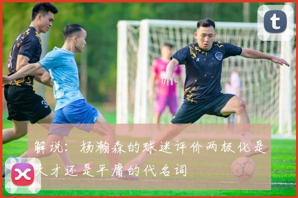 解说：杨瀚森的球迷评价两极化是天才还是平庸的代名词