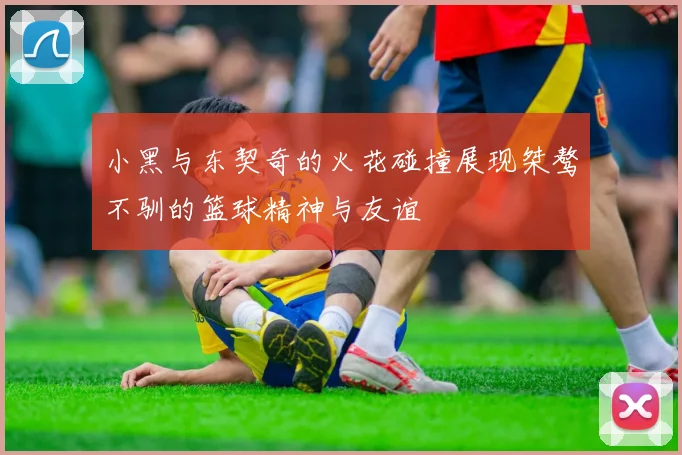 小黑与东契奇的火花碰撞展现桀骜不驯的篮球精神与友谊